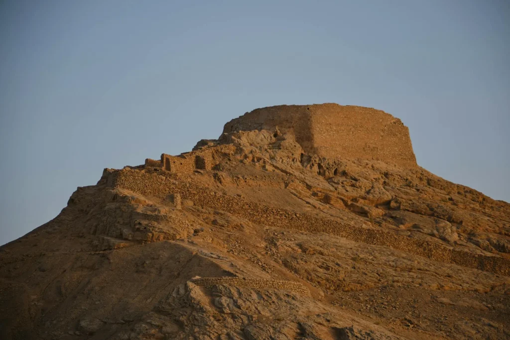 Jual Permadani Persia