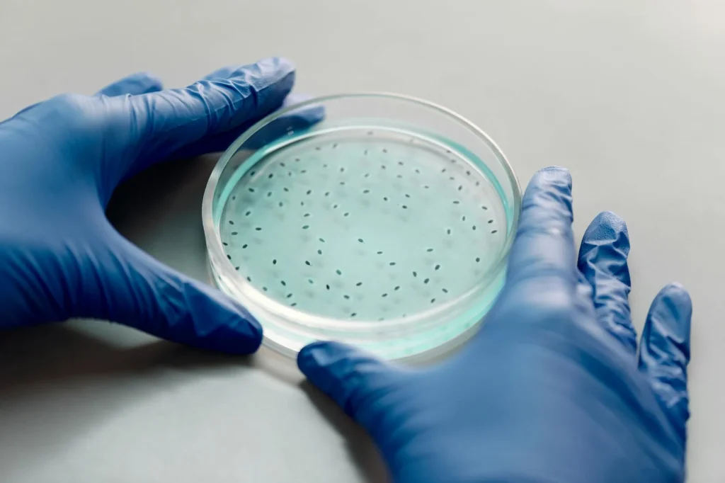 Perawatan Karpet Agar Tetap Awet Dan Indah